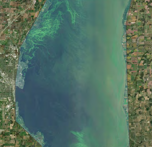 Historical Survey - Algal Blooms