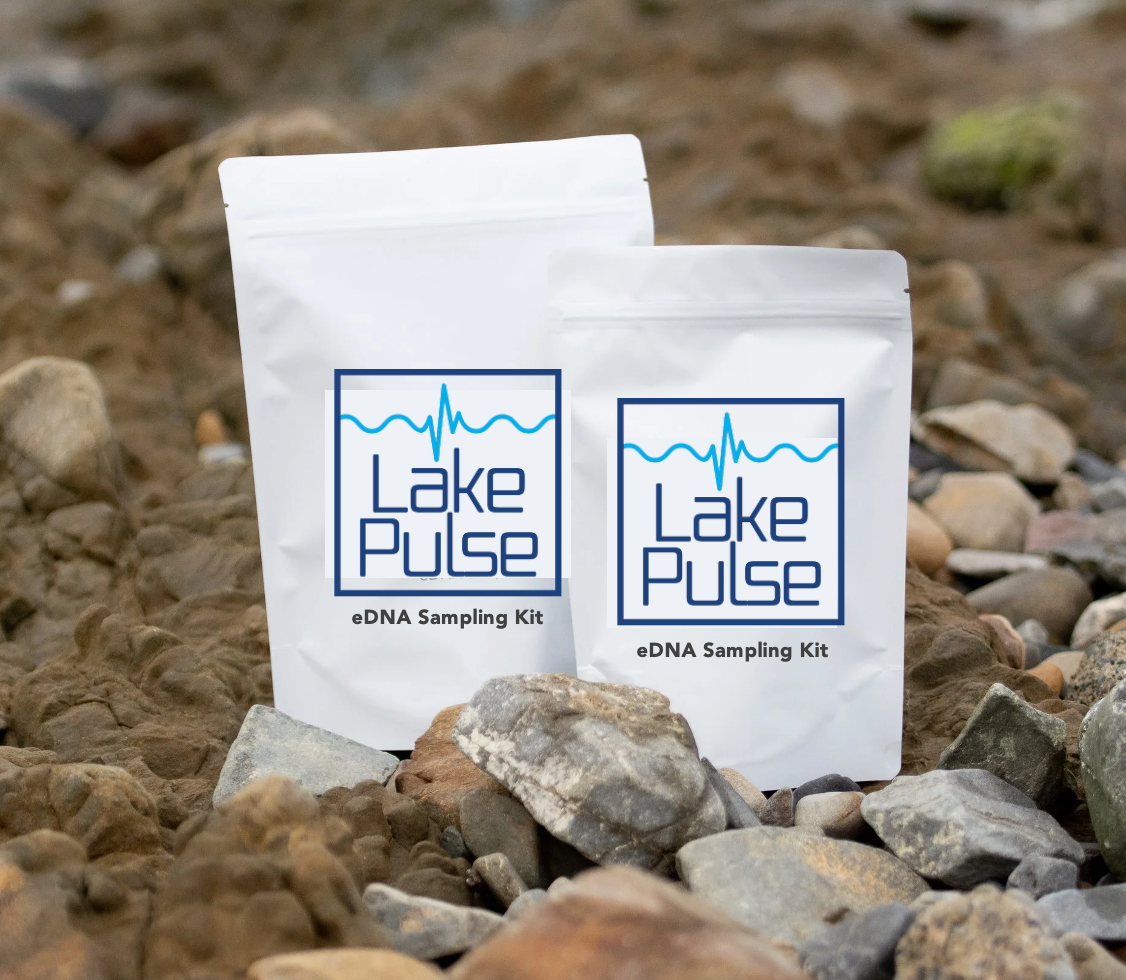 eDNA Test Kits (3 tests)