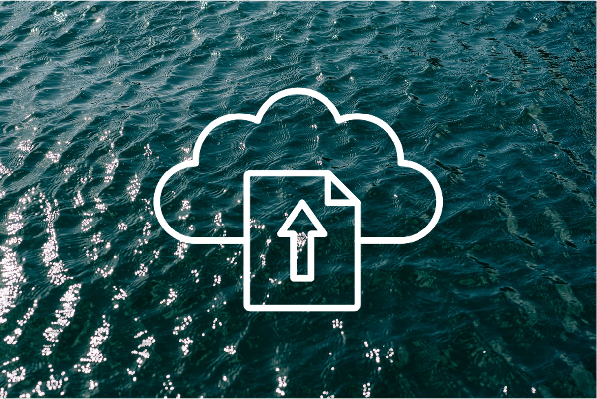 Data Extraction & Upload (Consultation Call)