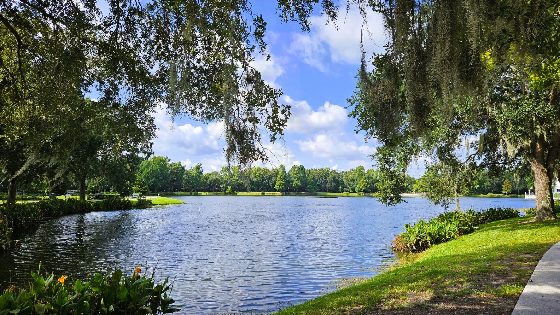 A lowland Florida lake framed by live oaks and Spanish moss
