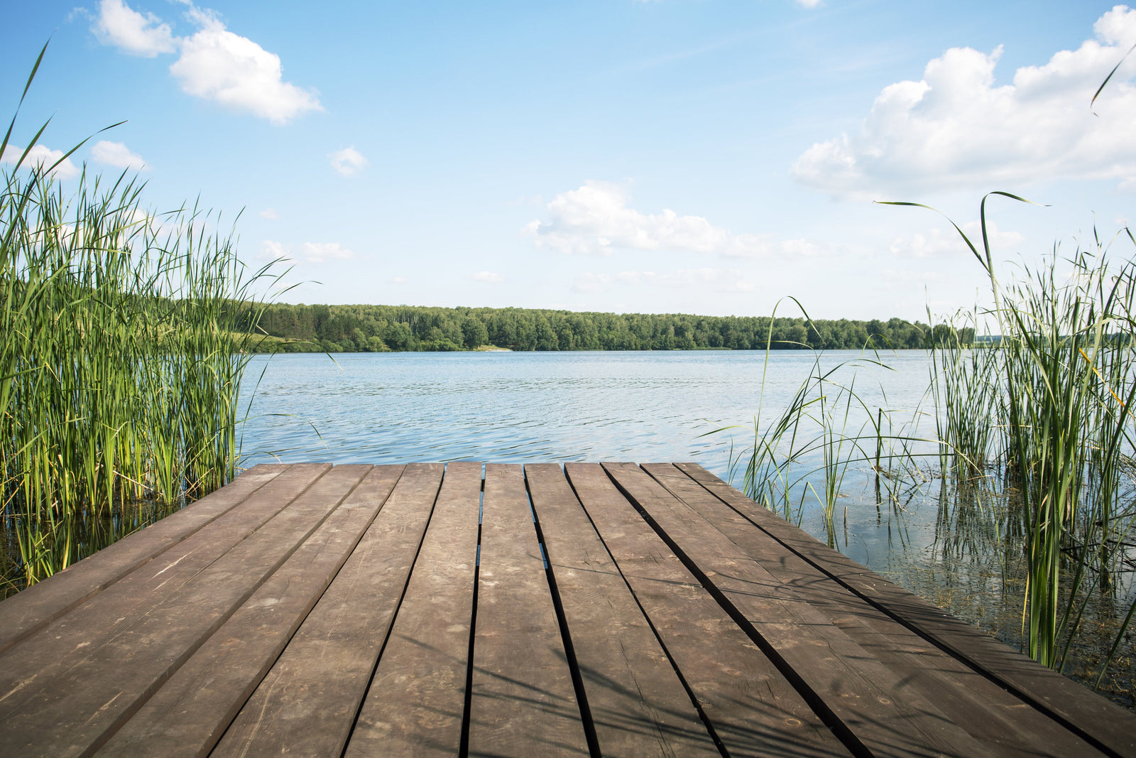 Every lake has a story.