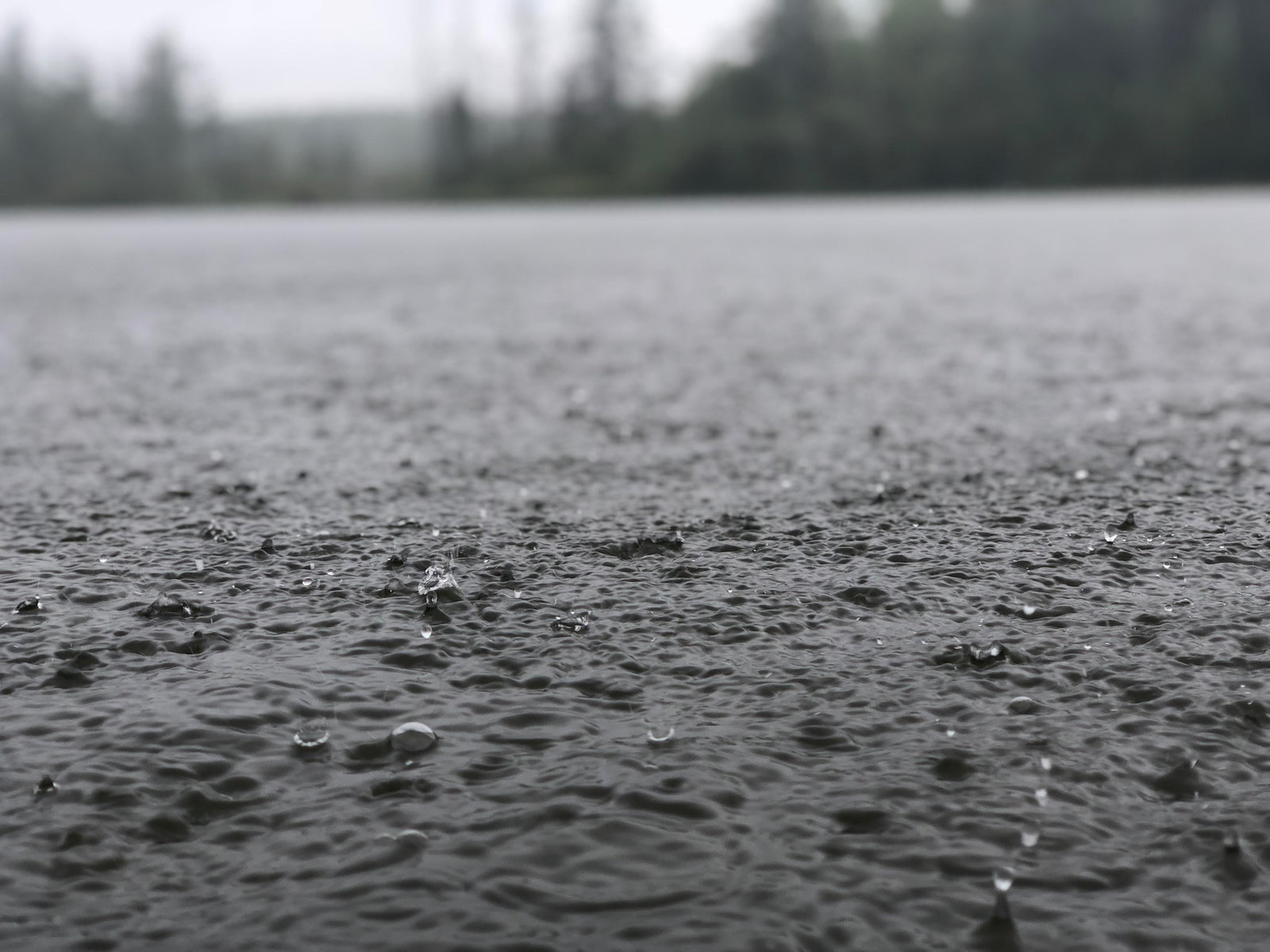 If You’re Not Watching the Weather, You’re Not Fully Managing Your Lake
