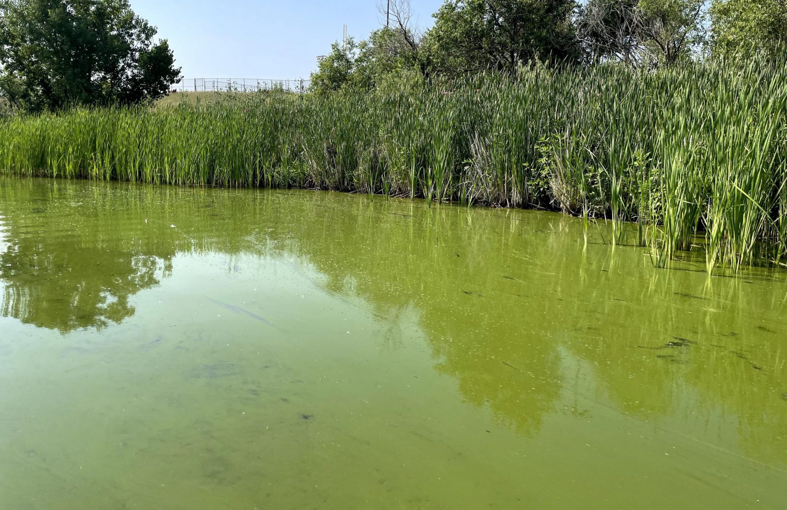 How to Choose the Right Testing & Monitoring Tools for Lake Pollution