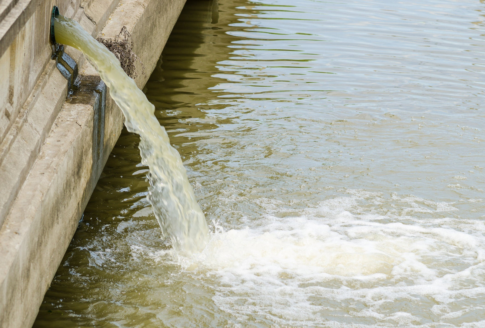 No Evidence, No Action: Why Winning State Support for Your Lake Starts with Data