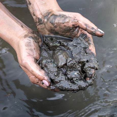What Lies Beneath: Why Ignoring Lake Sediment Is a Silent Saboteur of Restoration