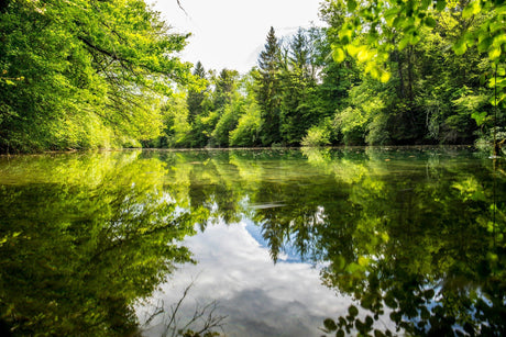 A Win for Alabama’s Waters—But Far From the Finish Line