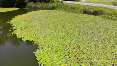 Lakes on the Edge: How a Warming Planet Threatens Freshwater Health