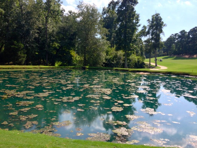 Golf Course Impact (Bundle)