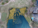 Invasive/Native Weed Drone Survey